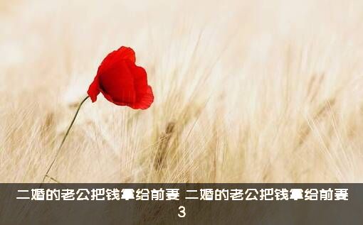 二婚的老公把钱拿给前妻（二婚的老公把钱拿给前妻3）