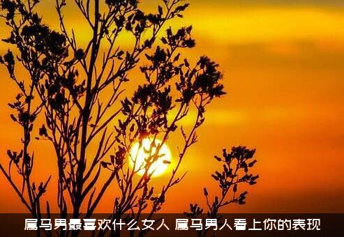 属马男最喜欢什么女人（属马男人看上你的表现）