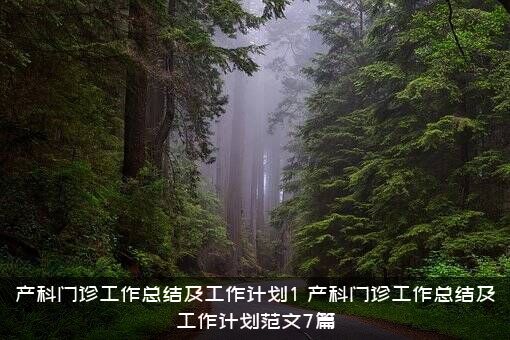 产科门诊工作总结及工作计划1（产科门诊工作总结及工作计划范文7篇）