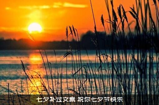 七夕补过文案（祝你七夕节快乐）