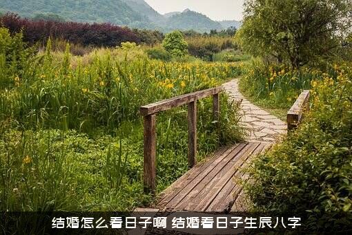 结婚怎么看日子啊（结婚看日子生辰八字）