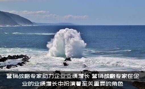 营销战略专家助力企业业绩增长，营销战略专家在企业的业绩增长中扮演着至关重要的角色