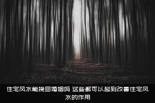 住宅风水能挽回婚姻吗？这些都可以起到改善住宅风水的作用？