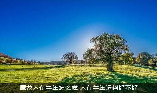 属龙人在牛年怎么样？人在牛年运势好不好？