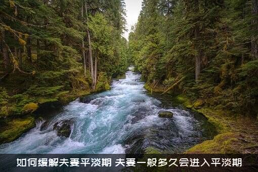 如何缓解夫妻平淡期（夫妻一般多久会进入平淡期）