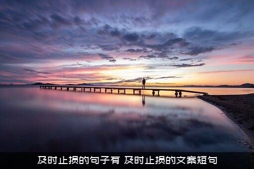 及时止损的句子有（及时止损的文案短句）