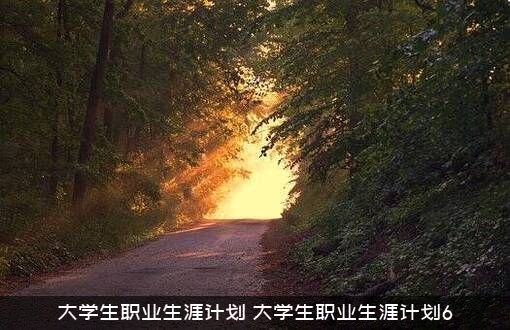 大学生职业生涯计划（大学生职业生涯计划6）