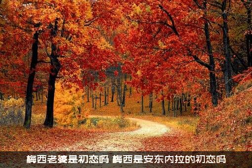 梅西老婆是初恋吗（梅西是安东内拉的初恋吗）