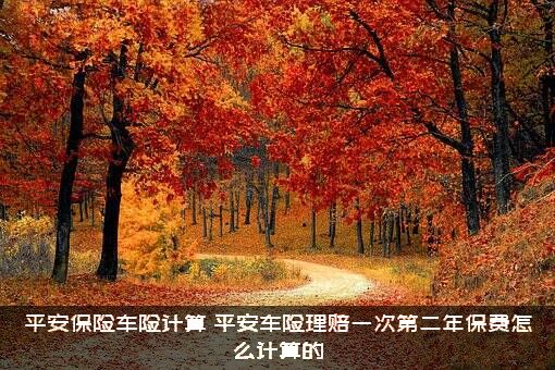 平安保险车险计算（平安车险理赔一次第二年保费怎么计算的）