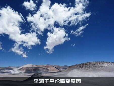 李湘王岳伦婚变原因