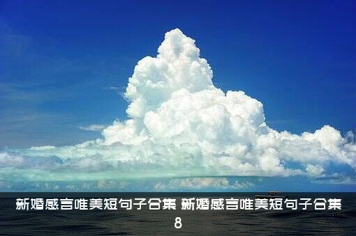 新婚感言唯美短句子合集（新婚感言唯美短句子合集8）