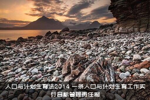 人口与计划生育法2014（一条人口与计划生育工作实行目标管理责任制）
