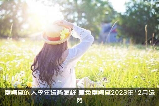 摩羯座的人今年运势怎样（属兔摩羯座2023年12月运势）
