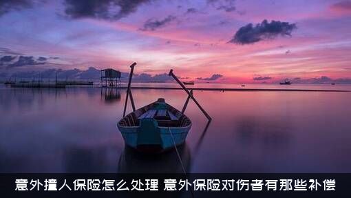 意外撞人保险怎么处理？意外保险对伤者有那些补偿？