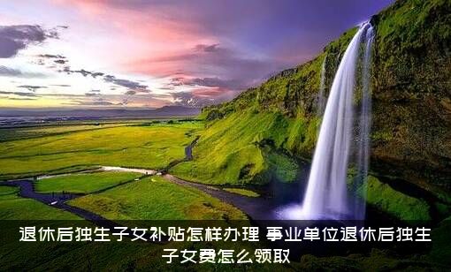 退休后独生子女补贴怎样办理（事业单位退休后独生子女费怎么领取）