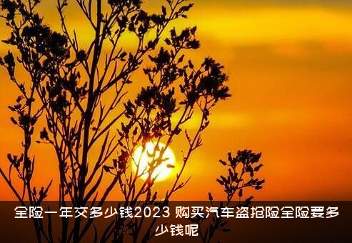 全险一年交多少钱2023？购买汽车盗抢险全险要多少钱呢？