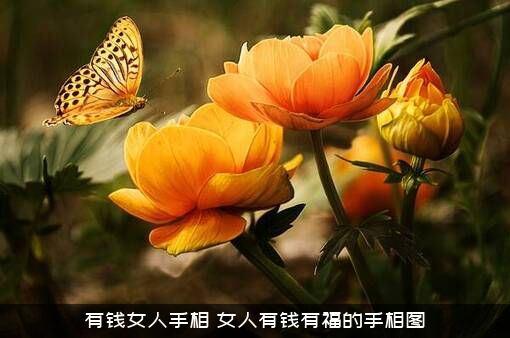 有钱女人手相（女人有钱有福的手相图）