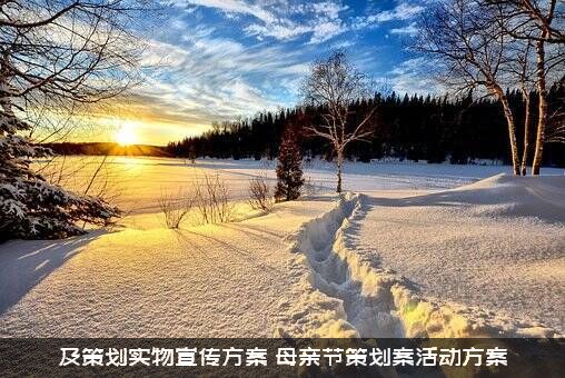 及策划实物宣传方案（母亲节策划案活动方案）