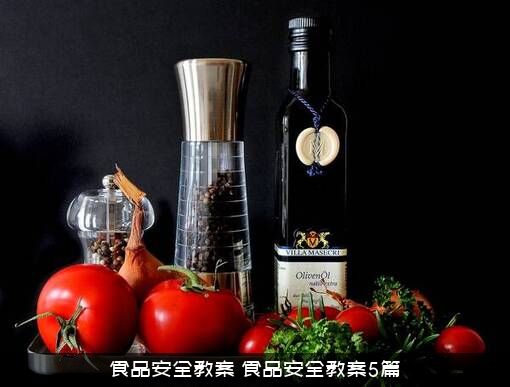 食品安全教案（食品安全教案5篇）