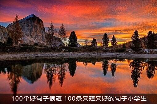 100个好句子很短（100条又短又好的句子小学生）