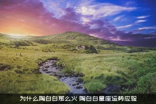 为什么陶白白那么火（陶白白星座运势应验）