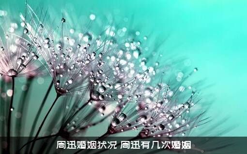 周迅婚姻状况（周迅有几次婚姻）