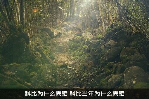 科比为什么离婚（科比当年为什么离婚）