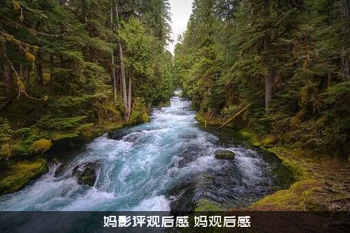 囧妈影评观后感囧妈观后感