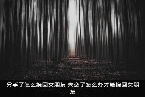 分手了怎么挽回女朋友（失恋了怎么办才能挽回女朋友）