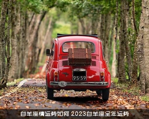 白羊座情运势如何（2023白羊座全年运势）