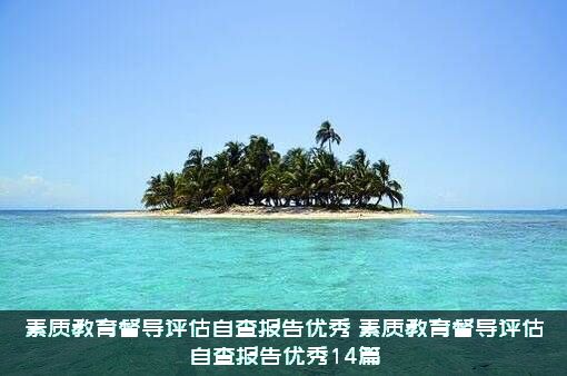 素质教育督导评估自查报告优秀（素质教育督导评估自查报告优秀14篇）