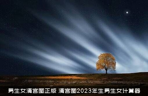 男生女清宫图正版（清宫图2023年生男生女计算器）