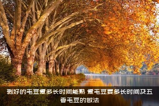 剥好的毛豆煮多长时间能熟，煮毛豆要多长时间及五香毛豆的做法