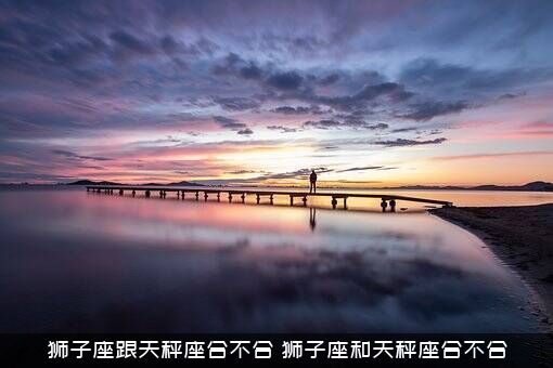 狮子座跟天秤座合不合（狮子座和天秤座合不合）