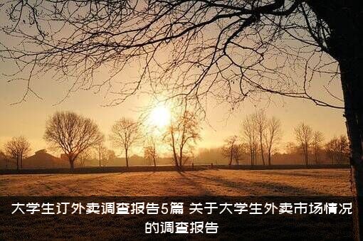 大学生订外卖调查报告5篇（关于大学生外卖市场情况的调查报告）