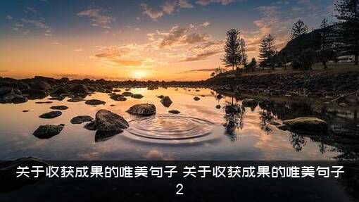 关于收获成果的唯美句子（关于收获成果的唯美句子2）