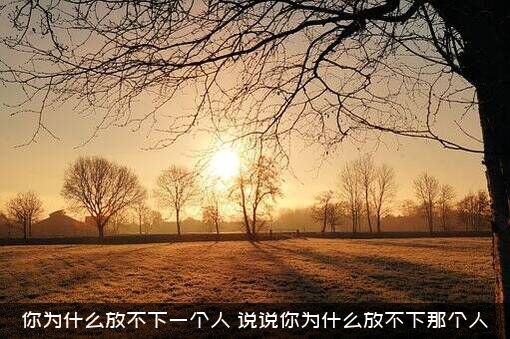 你为什么放不下一个人（说说你为什么放不下那个人）