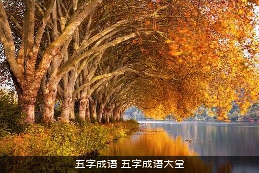 五字成语（五字成语大全）