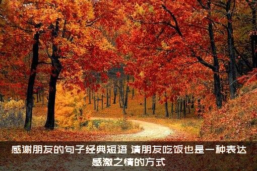 感谢朋友的句子经典短语（请朋友吃饭也是一种表达感激之情的方式）