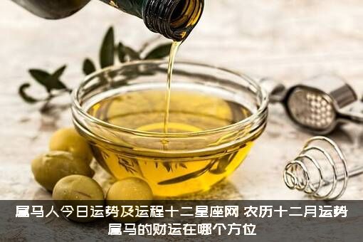 属马人今日运势及运程十二星座网，农历十二月运势属马的财运在哪个方位？