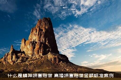 什么是精神损害赔偿（离婚损害赔偿金额标准案例）