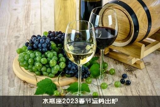 水瓶座2023春节运势出炉