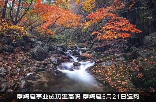 摩羯座事业成功率高吗（摩羯座5月21日运势）