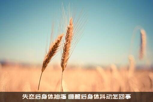 失恋后身体抽搐（睡醒后身体抖动怎回事）