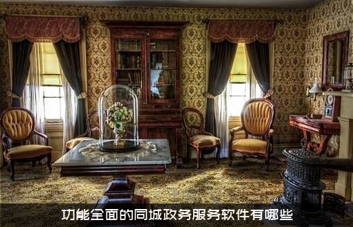 功能全面的同城政务服务软件有哪些
