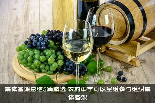 集体备课总结5篇精选（农村中学可以全组参与组织集体备课）