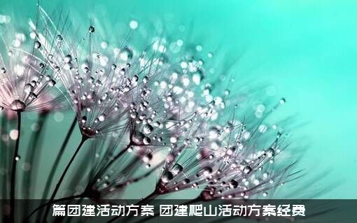 篇团建活动方案（团建爬山活动方案经费）
