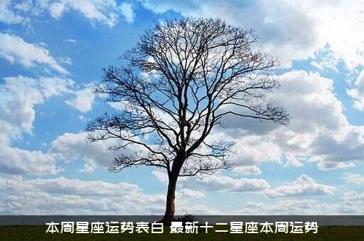 本周星座运势表白（最新十二星座本周运势）