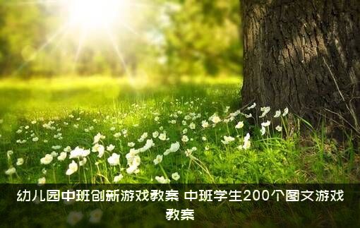 幼儿园中班创新游戏教案（中班学生200个图文游戏教案）