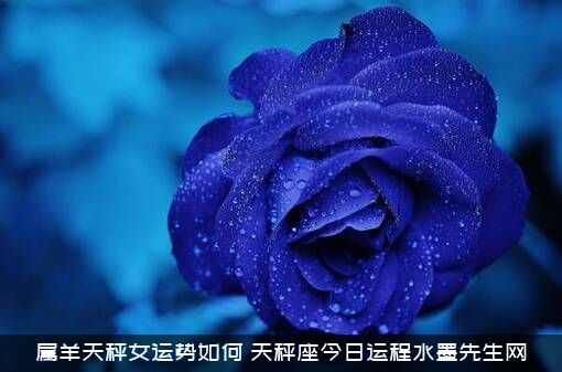 属羊天秤女运势如何（天秤座今日运程水墨先生网）
